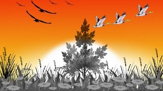 ЛЮБИМАЯ (проект)