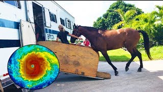 Evacuating My Horse From South Florida- Hurricane IRMA | NICOLE SKYES