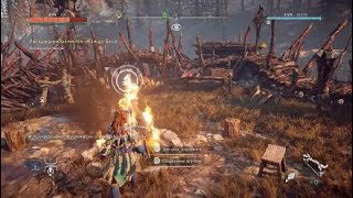 Прохождение Horizon Zero Dawn™: Complete Edition #13
