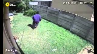Burglar Manages to Get Away from the World's most Dangerous Guard Dog