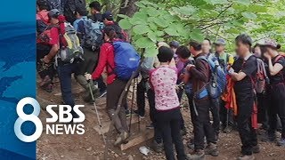 '휴식' 없는 국립공원..탐방로 확산 제한 / SBS