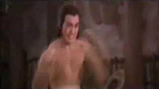 Southern Praying Mantis Kung Fu Training Sequences
