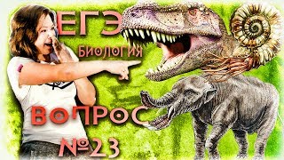 ЕГЭ по биологии 2018. Задание 23. Анализ геохронологической таблицы