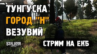 Stalker Online [ Stay Out ]. Тунгуска - Город "Н" - Везувий. Стрим на ЕКБ сервере.