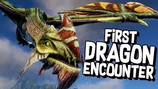 DRAGON FIGHTING A KANGAROO?! - Dark and Light Gameplay