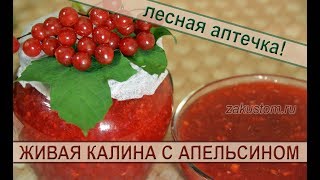 Живая калина с апельсином: вкуснейший, простой рецепт заготовки калины на зиму. Recipe from viburnum
