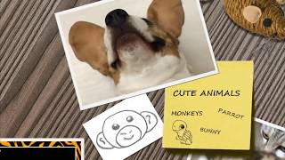 THIS will make you LAUGH ALL DAY - Funny FAILS & MOMENTS compilation