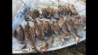 ОХОТА НА УТКУ ОСЕНЬ 2019  Часть 1.  Duck hunting.