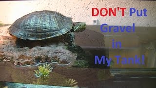 Don't Use Gravel For You Turtle Tank.  Gravel can kill your turtle.