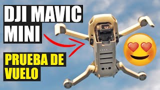 Es (casi) PERFECTO!!?DJI Mavic Mini✌️Prueba de vuelo