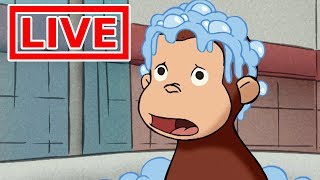 Jorge el Curioso en Español LIVE STREAM ? En Vivo | Caricaturas para Niños | Dibujos Animados