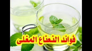 طريقة عمل مغلي النعناع   فوائد النعناع المغلي