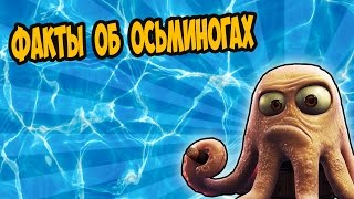 ТОП КРУТЫХ ФАКТОВ ОБ ОСЬМИНОГАХ