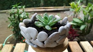 How To Make Stone Planter - DIY Succulent Planter