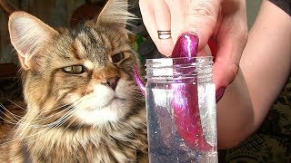 SLIME REVIEW budget crystal slime SHOCK Maine Coon tests slimes