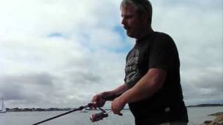 Tipps und Tricks Jerkbaits