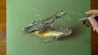 Drawing a Crocodile... Don't Try This at Home ?