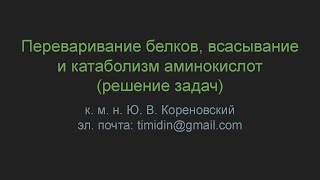Переваривание белков, всасывание и катаболизм аминокислот (решение задач)