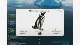 ловлю пингвинов в игре трофейная рыбалка