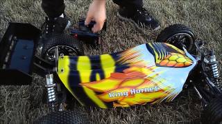 King Hornet 1:5 scale brushless RC buggy