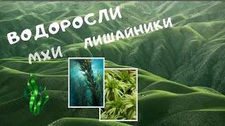 Водоросли. Мхи (Мохообразные). Лишайники. Строение водорослей. Видеоурок. Биология 6 класс 7. ЕГЭ
