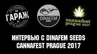 Интервью с Мариной из Dinafem Seeds Cannafest Prague 2017 от магазина семян Гараж