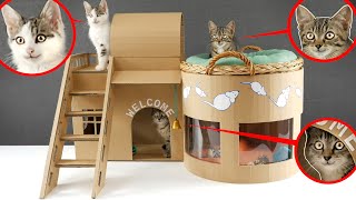 ??How to make Amazing Kitten Cat Pet House from Cardboard