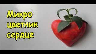 Микро цветник своими руками из полиморфуса / Оригинальные поделки / Sekretmastera