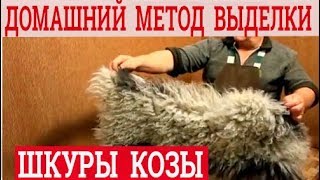 Выделка шкуры козы в домашних условиях. Технология обработки козлины