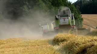 Gersteernte 2014// Claas Lexion 670TT, 2 Claas Lexion 560+ MAN TGS+ John Deere 7280R, 6830, ...