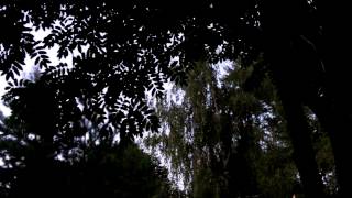 Джон Лютер Адамс Странный и Сакральный шум
