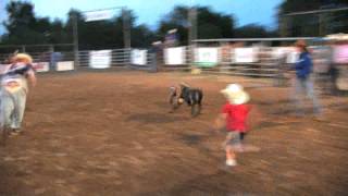 Junction City "Kids" Rodeo