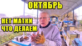 НЮАНСЫ ОСЕННЕГО ОБЪЕДИНЕНИЯ