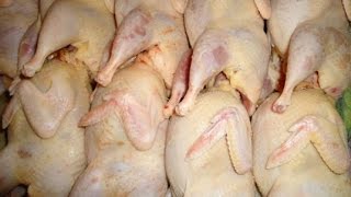 Забой ощип и потрошение перепелки