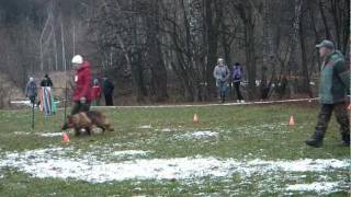 Кубок России по БР 12.11.11; Терра Хундершафт; 17