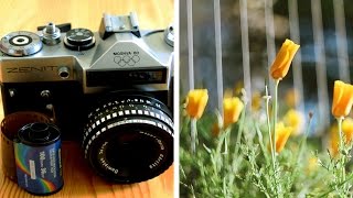 Zenit-E Moskva-80 35mm camera Olympic Model M42 film on test Samples