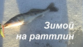зимой на раттлин
