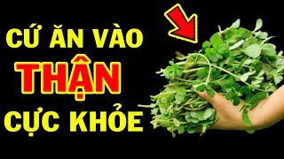 Sau 1 Đêm THẬN HẾT SẠCH ĐỘC TỐ Khỏe Lại Bất ngờ Chỉ Với 1 Nghìn Đồng Mà Ít Người Biết Đến