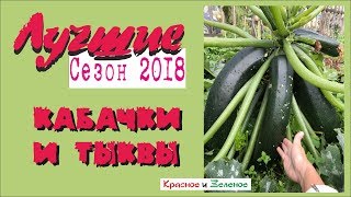 Кабачки и тыквы. Лучшее. Проверено Сибирью!