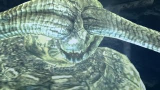 【MH3G HD Ver.】のんびり狩猟生活part17【実況】