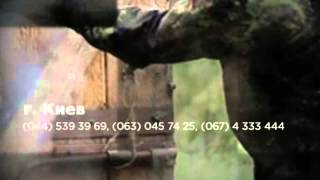 уничтожение клопов клещей кротов жуков недорого Киев, BrilLion-Club 4101