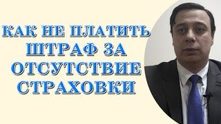 Как не платить штраф за отсутствие страховки (консультация юриста, консультация адвоката)