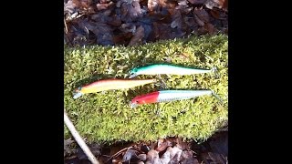 Sealurer Minnow Test