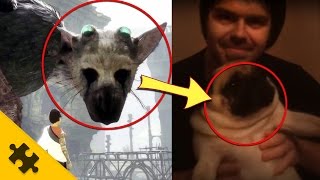 МИСТИЧЕСКОЕ ЖИВОТНОЕ, сходство 67% - The Last Guardian