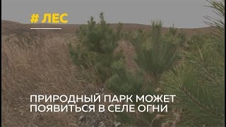 Жители Усть-Калманского района ищут средства на создания природного парка в степи