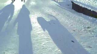 Schwarzer Russischer Terrier Bruno im Winter-Grunewald