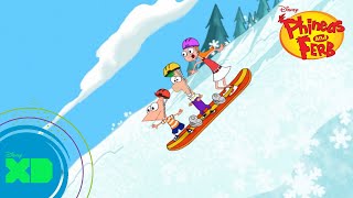 Phineas & Ferb | Top 5 Grappigste Momenten | Disney XD