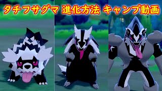【ガラルジグザグマ → マッスグマ → タチフサグマ】進化方法 攻略 + キャンプで遊ぶ【ポケモン ソード シールド】
