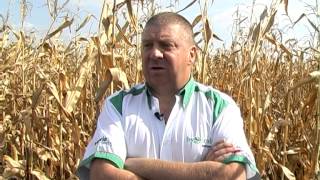 Cемена Aspria Seeds от ByFrederic