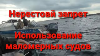 Нерестовый запрет 2019, использование маломерных судов. Разговор с инспектором Рыбохраны